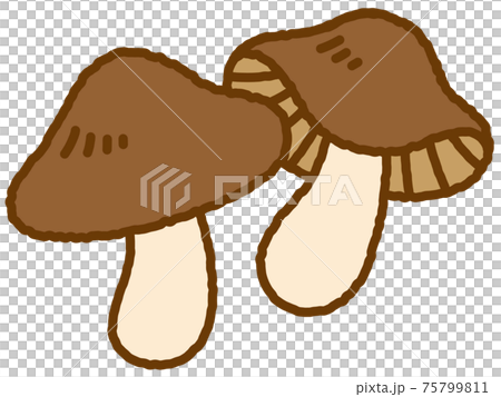 蘑菇 75799811