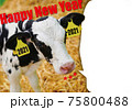 新年ごあいさつ01 75800488