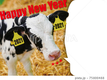 新年ごあいさつ01 75800488
