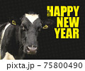 新年ごあいさつ02 75800490
