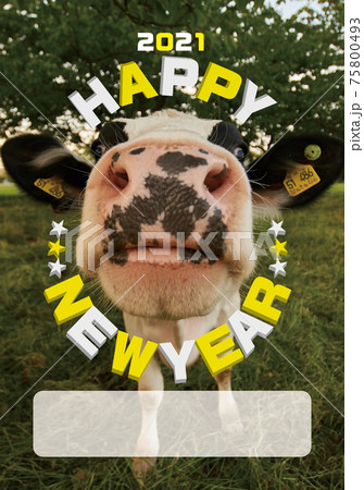 新年ごあいさつ03 75800493