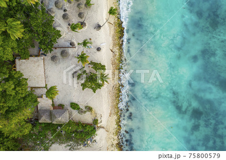 Tropical carribbean beach 75800579