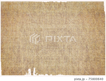 Papyrus paper texture. Papyrus paper texture. 75800640