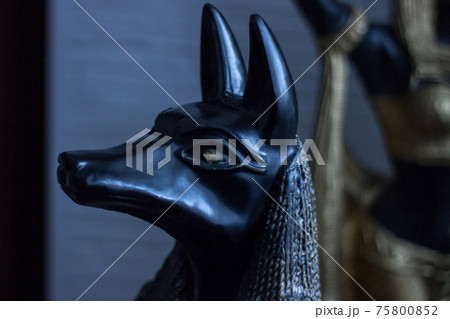Statue of mythology jackal anubis 3 75800852