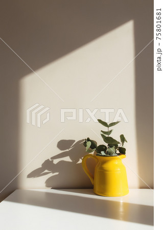 Yellow ceramic jug or vase with eucalyptus branches, empty white photo frames Yellow ceramic jug or vase with eucalyptus branches, empty white photo frames 75801681