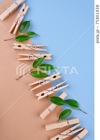 Zero waste eco wooden clothes pin Zero waste eco wooden clothes pin 75801938
