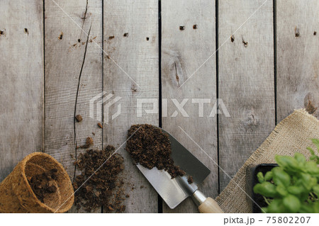 Gardening hobby concept. Eco pot, green plant, shovel, dirt, wooden background 75802207