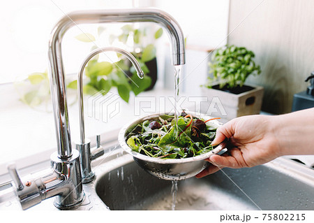Woman washing green salad leaves in kitchen in sink under running water Woman washing green salad leaves in kitchen in sink under running water 75802215