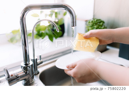 Hhands washing plate with sponge, soap in kitchen in sink under running water 75802220
