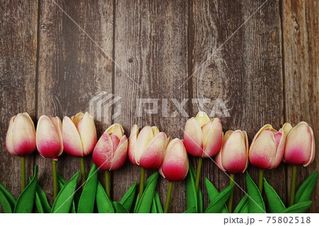 Pink Tulips bouquet with Space for text on a wooden background Pink Tulips bouquet with Space for text on a wooden background 75802518