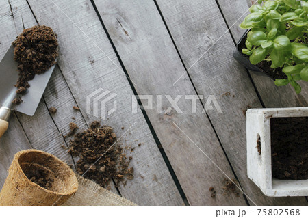 Gardening hobby concept. Eco pot, green plant, shovel, dirt, wooden background 75802568