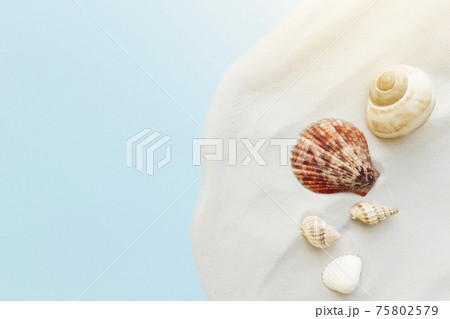 Travel, vacation concept. Sea shells on sand and blue background. Travelling Travel, vacation concept. Sea shells on sand and blue background. Travelling 75802579
