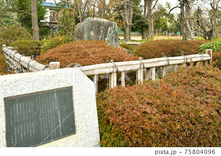 世田谷散歩：中村汀女句碑　羽根木公園 75804096