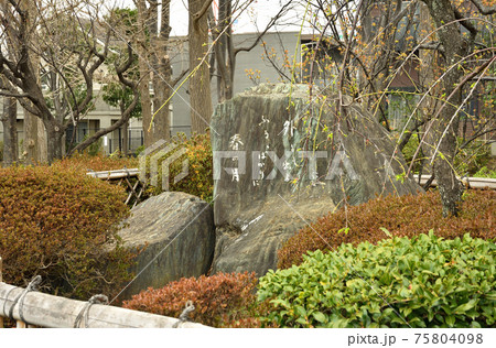 世田谷散歩：中村汀女句碑　羽根木公園 75804098
