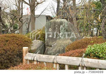 世田谷散歩：中村汀女句碑　羽根木公園 75804099