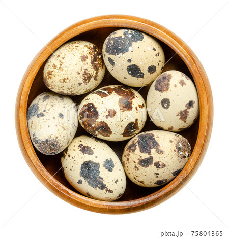 Group of fresh quail eggs in a wooden bowl. Speckled, whole eggs of common quail, Coturnix coturnix, a delicacy, used raw or cooked. Close-up, from above, isolated, over white, macro food photo. Group of fresh quail eggs in a wooden bowl. Speckled, whole eggs of common quail, Coturnix coturnix, a delicacy, used raw or cooked. Close-up, from above, isolated, over white, macro food photo. 75804365
