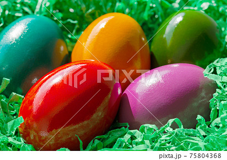 Colorful dyed Easter eggs in a green paper nest. Multicolored Paschal eggs, arranged in a nest, made of green shredded paper. Group of hard boiled chicken eggs, ready for a traditional egg hunt. Photo Colorful dyed Easter eggs in a green paper nest. Multicolored Paschal eggs, arranged in a nest, made of green shredded paper. Group of hard boiled chicken eggs, ready for a traditional egg hunt. Photo 75804368