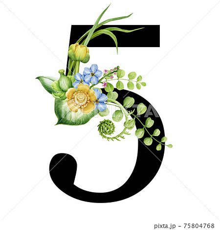 Floral spring alphabet. Number 5. Font element with spring garden flower bouquets composition. Flower number five. Wedding invitations, baby shower, birthday, other ideas. On white background 75804768