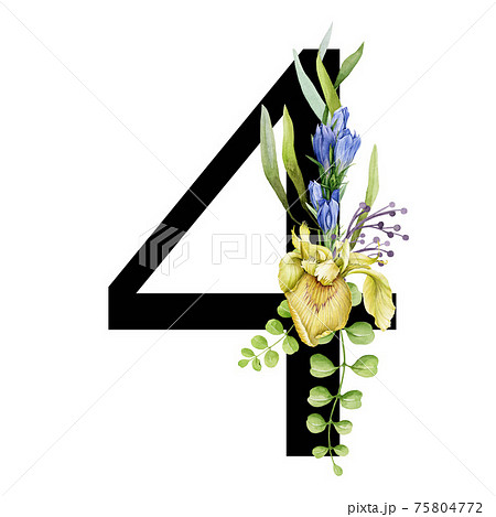 Floral spring alphabet. Number 4. Font element with spring garden flower bouquets composition. Flower number four. Wedding invitations, baby shower, birthday, other ideas. On white background 75804772