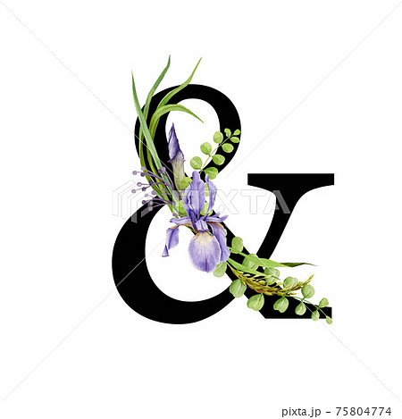 Floral spring alphabet. Ampersand sign. Font element AND with spring garden flower bouquets composition. Flower letter. Wedding invitations, baby shower, birthday, other ideas. On white background 75804774
