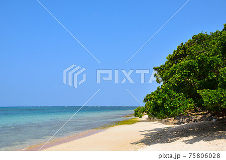 鳩間島 屋良浜 鳩間島 屋良浜 75806028