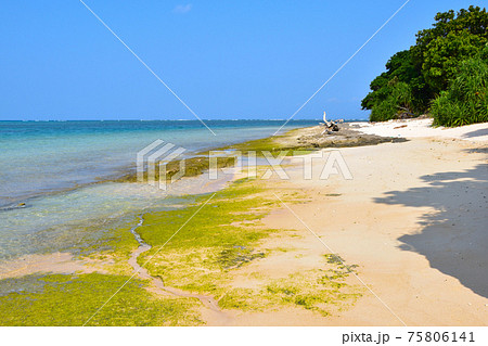 鳩間島　屋良浜 75806141
