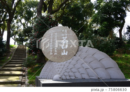 大阪天王寺公園内の茶臼山古墳 75806630