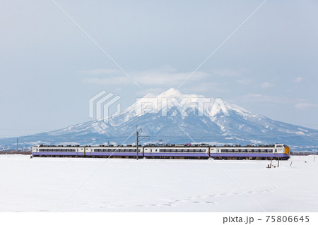 岩木山を背景に冬の津軽平野を走る白鳥 75806645