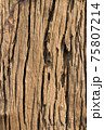 Brown wood texture 75807214