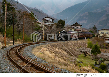 パレオエクスプレス・白久駅 75808329
