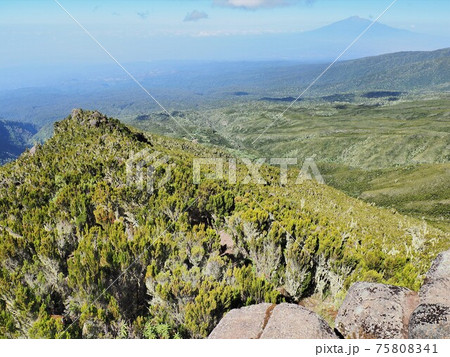 タンザニア･キリマンジャロ登山 75808341