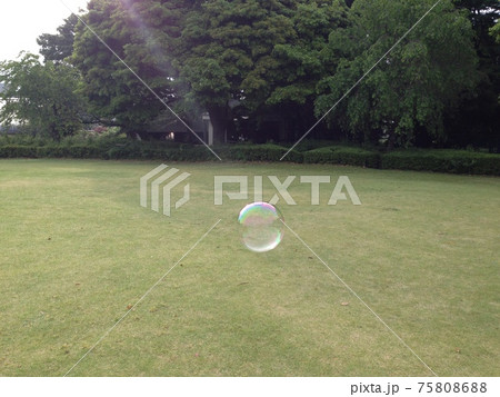 特大シャボン玉を公園で作る 75808688