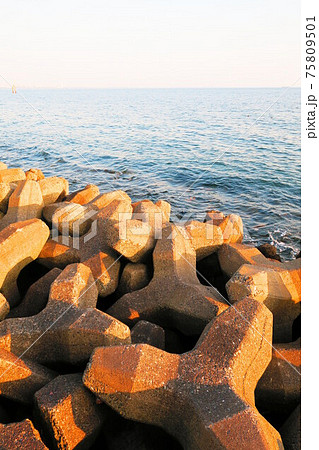 テトラポッド（消波ブロック）のある海の風景（千葉県浦安市の浦安市墓地公園付近） 75809501