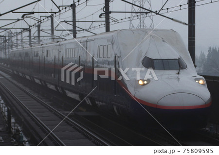 濃霧の雪国を行く上越新幹線E4系(Maxとき号) 濃霧の雪国を行く上越新幹線E4系(Maxとき号) 75809595