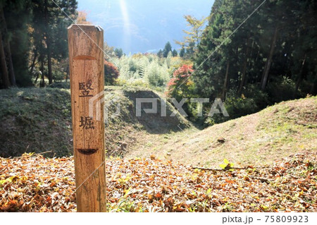 岩櫃城 岩櫃城 75809923