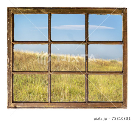 prairie at Colorado foothills abstract 75810381