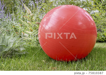 Swiss exercise ball outdoors 75810387