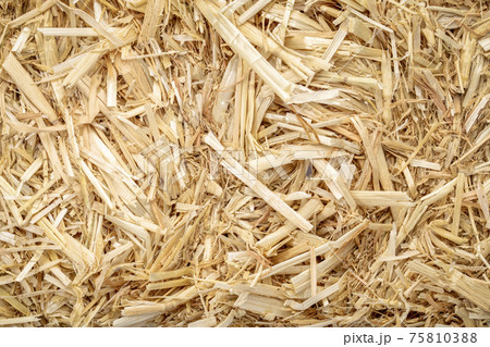 dry raw straw bale background 75810388