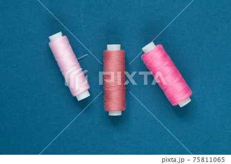 pink sewing needles against blue background, top view pink sewing needles against blue background, top view 75811065