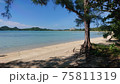 石垣島の海 75811319