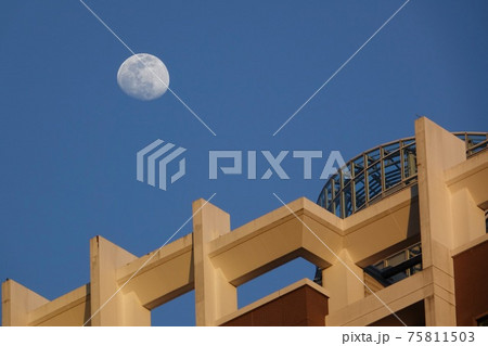 ビル越しに見える昼の月 ビル越しに見える昼の月 75811503
