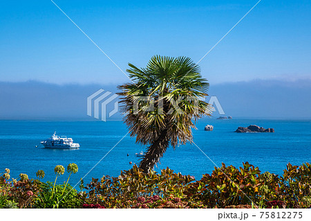 View to the city Perros-Guirec in Brittany, France 75812275