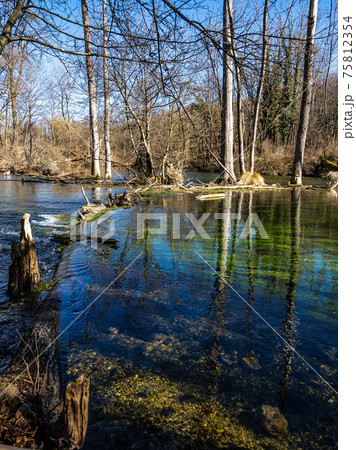 Beautiful hiking trail in Wuermtal, Gauting near Starnberg, Bavaria, Germany Beautiful hiking trail in Wuermtal, Gauting near Starnberg, Bavaria, Germany 75812354