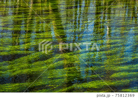 Beautiful hiking trail in Wuermtal, Gauting near Starnberg, Bavaria, Germany 75812369