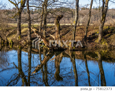 Beautiful hiking trail in Wuermtal, Gauting near Starnberg, Bavaria, Germany 75812373