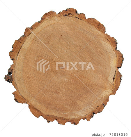 A cut of sawn wood. A piece of wood on a white background. 75813016