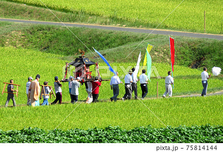 お神輿巡行 お神輿巡行 75814144