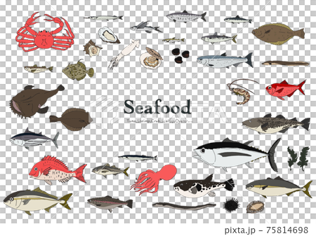 魚圖集手繪 75814698