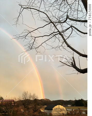 雨上がりの二重にかかる虹 雨上がりの二重にかかる虹 75815000