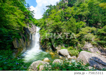 昇仙峡（夏）：仙娥滝 75815311